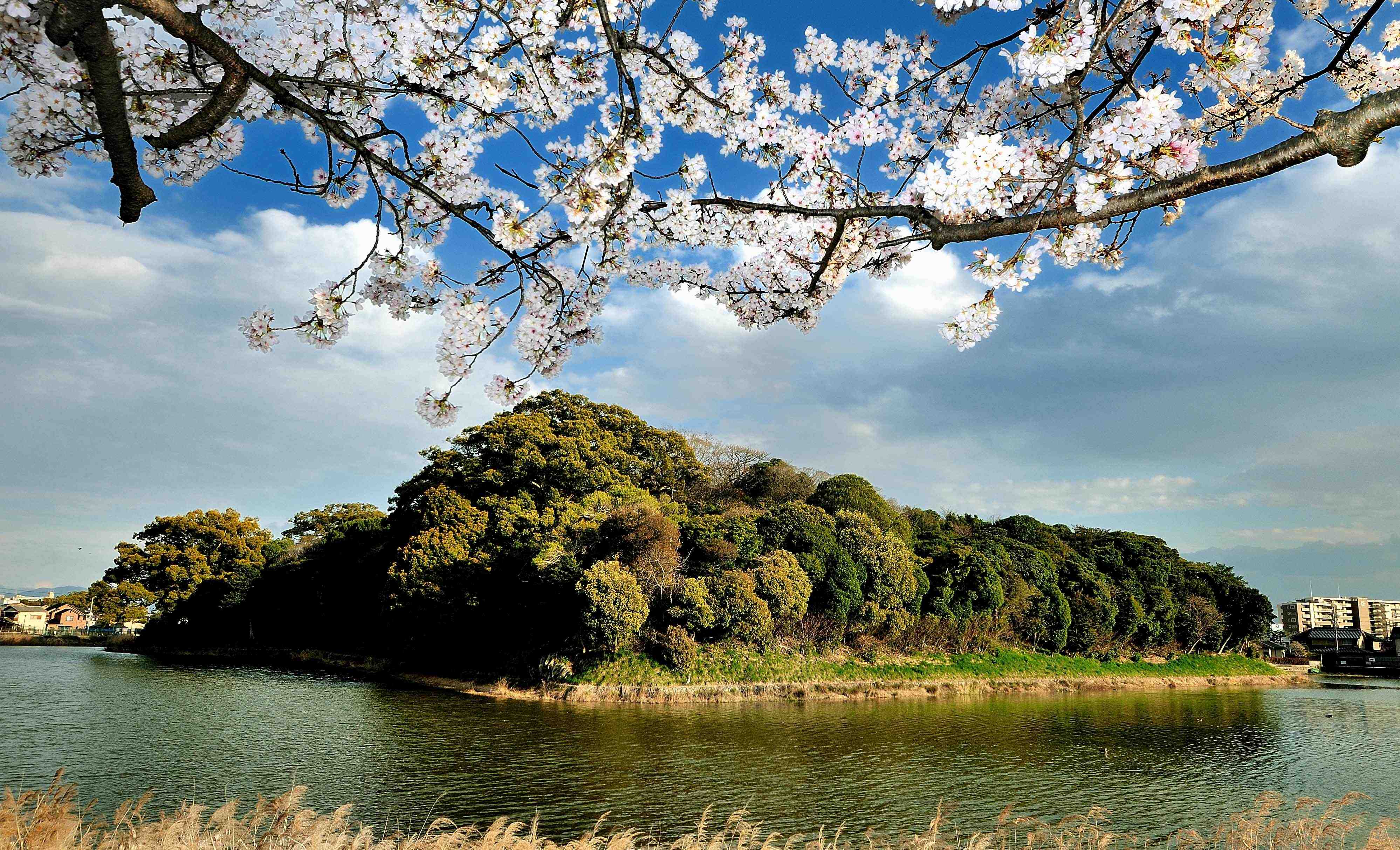 🏞️ 고뵤야마 고분 (고뵤야마 고훈) 이미지 7
